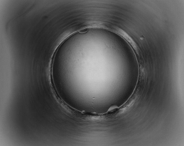 X0000094451002200711081301