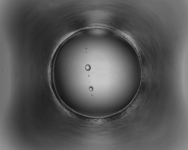 X0000094451003200711081301