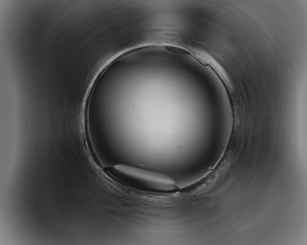 X0000094451004200711081301