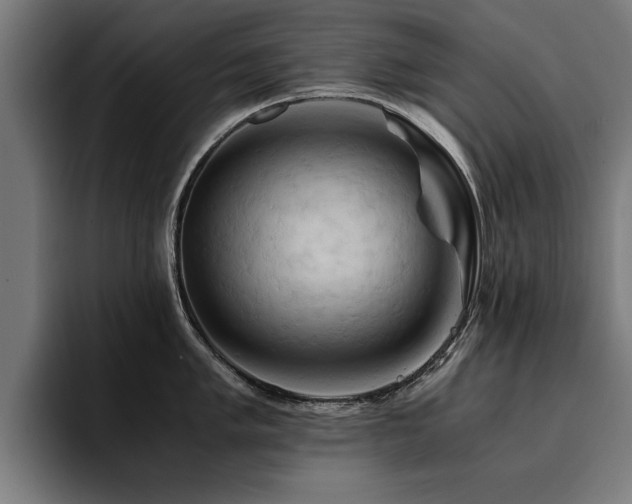 X0000094451005200711081301
