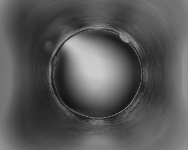X0000094451006200711081301
