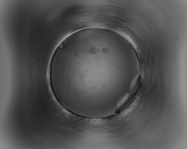 X0000094451007200711081301