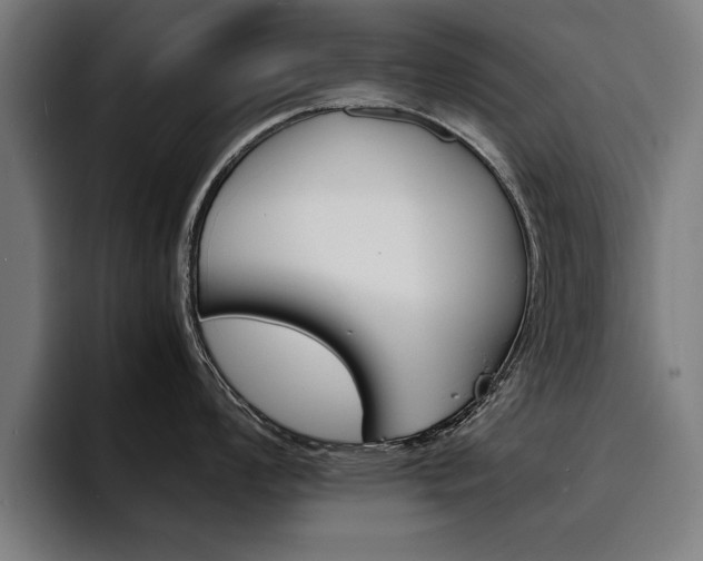 X0000094451008200711081301