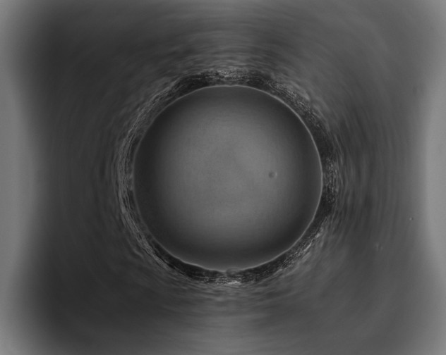 X0000094451009200711081300