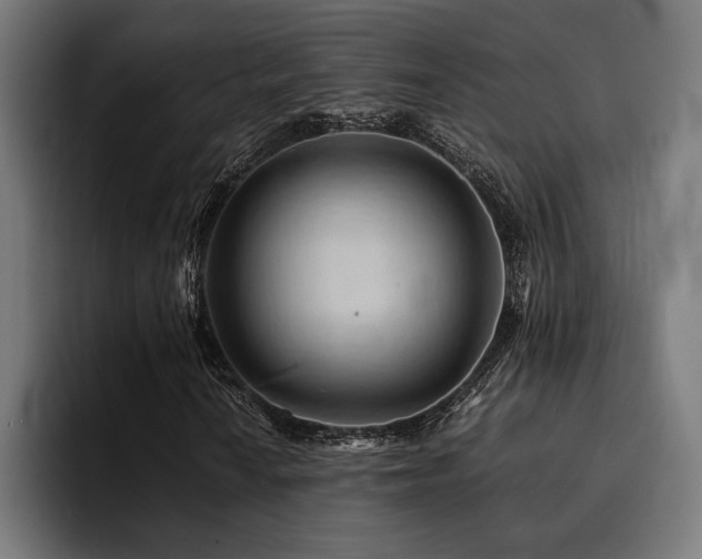 X0000094451010200711081300