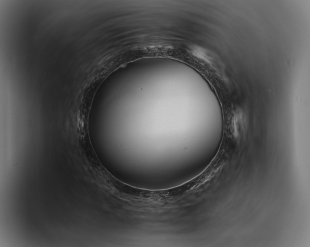X0000094451013200711081300