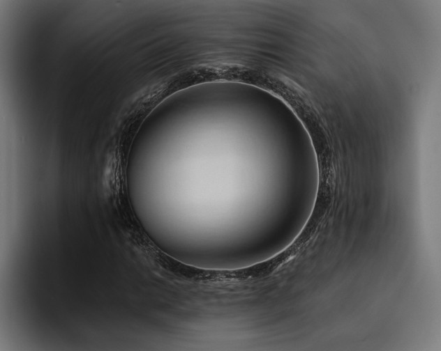 X0000094451014200711081300