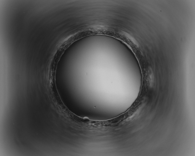 X0000094451016200711081300