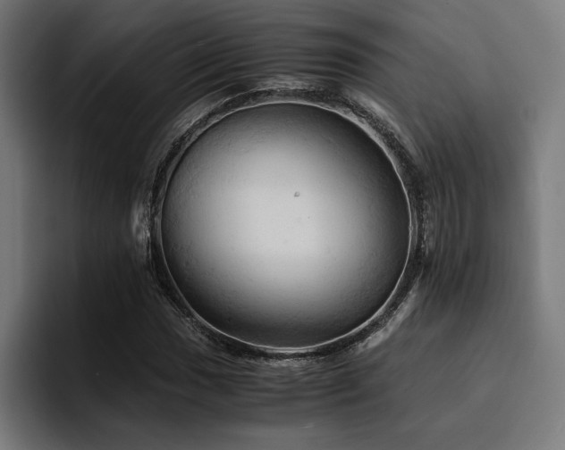 X0000094451017200711081300