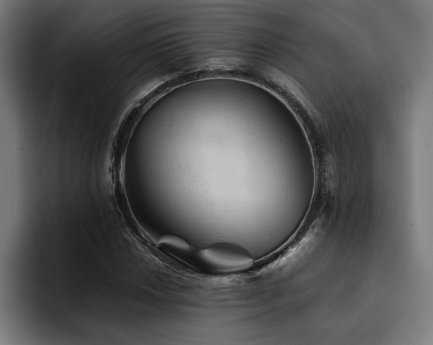 X0000094451018200711081300