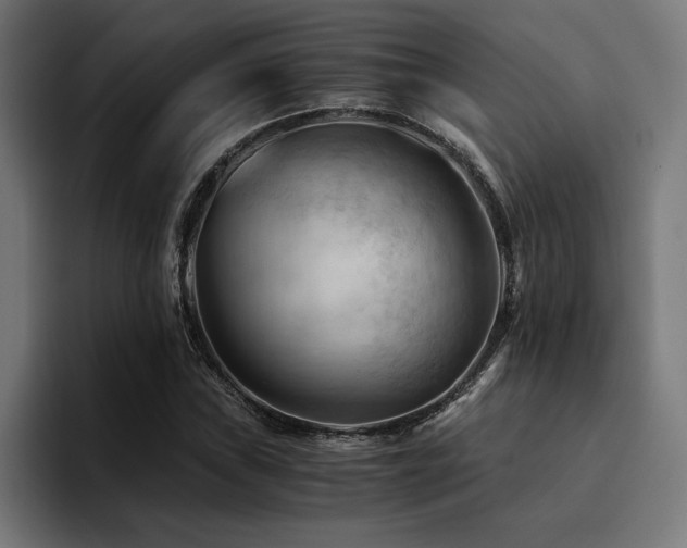 X0000094451019200711081300