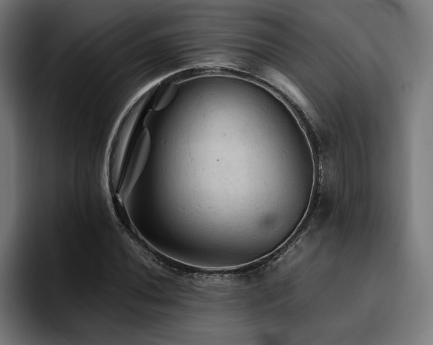 X0000094451020200711081300