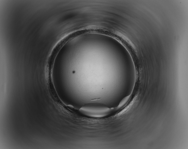 X0000094451021200711081300