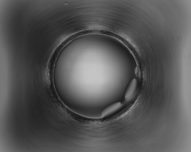 X0000094451022200711081300