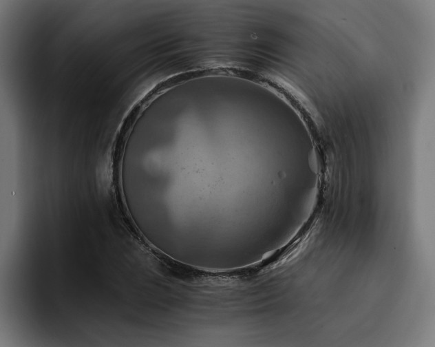 X0000094451023200711081300