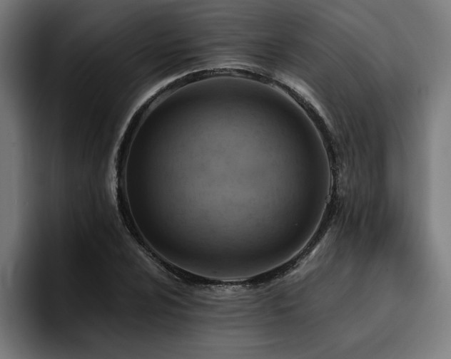 X0000094451024200711081300