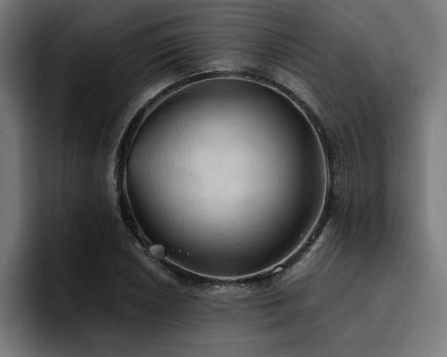 X0000094451026200711081300