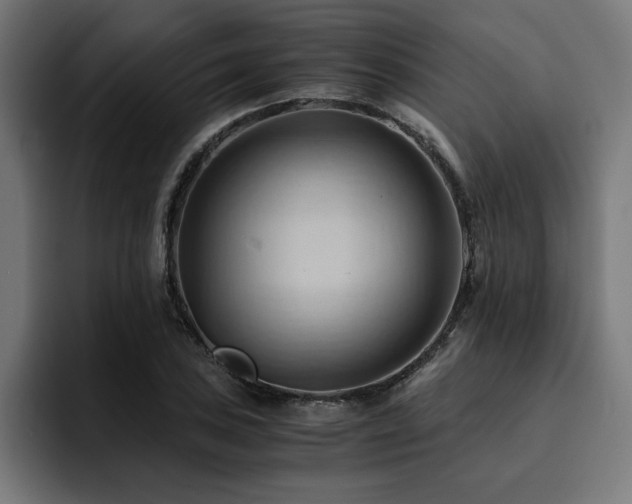 X0000094451027200711081300