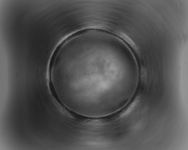 X0000094451028200711081300