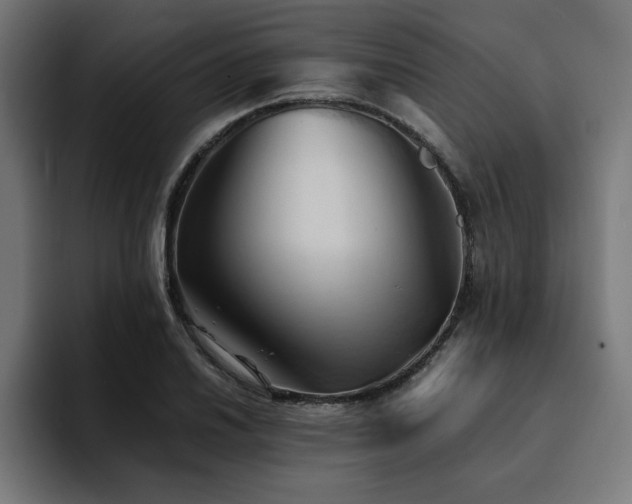 X0000094451030200711081300