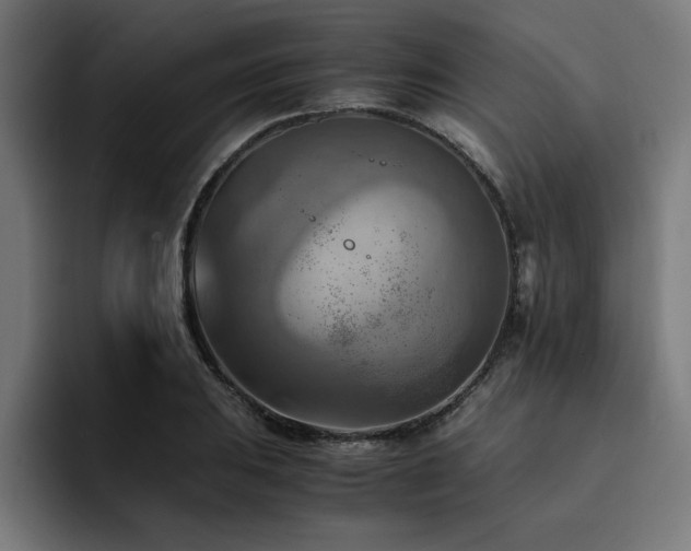 X0000094451031200711081300