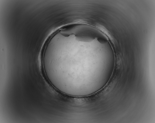 X0000094451032200711081300