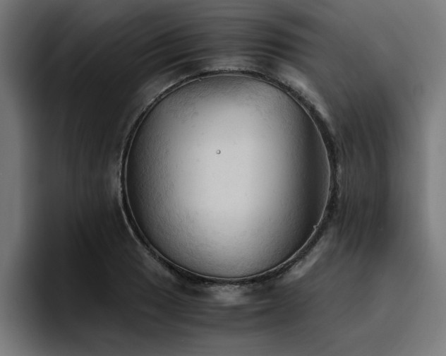 X0000094451033200711081300