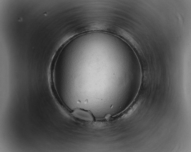 X0000094451034200711081300