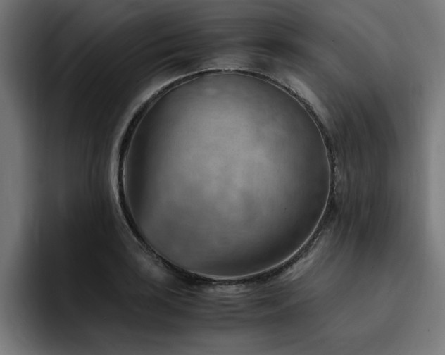 X0000094451035200711081300