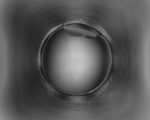X0000094451036200711081300
