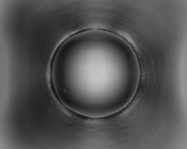 X0000094451040200711081300