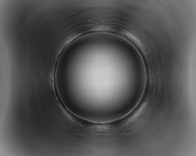 X0000094451041200711081300