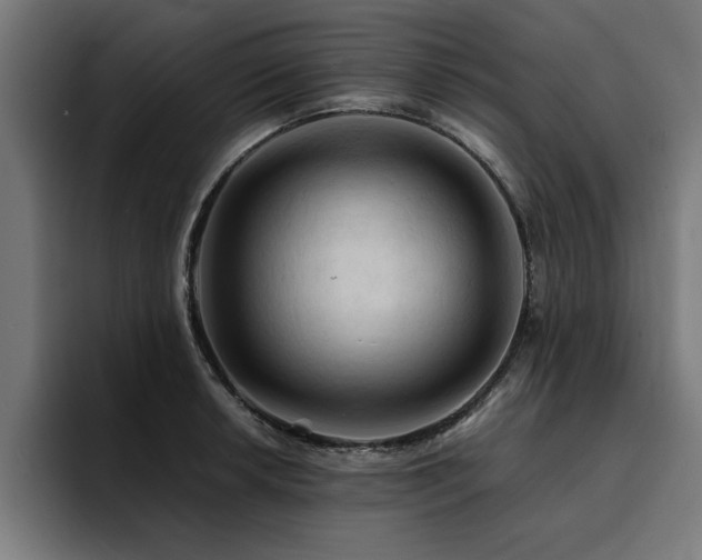 X0000094451042200711081300