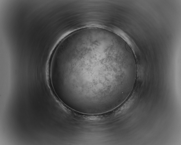 X0000094451048200711081301