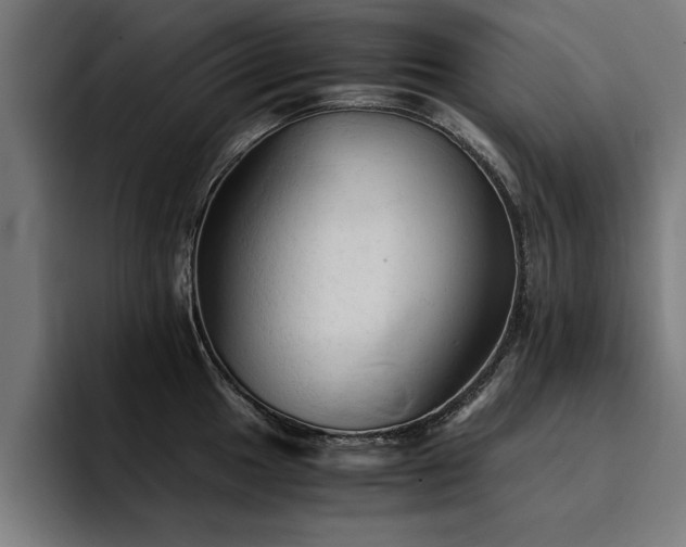 X0000094451049200711081301