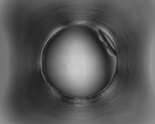 X0000094451050200711081301