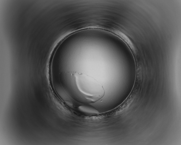 X0000094451051200711081301