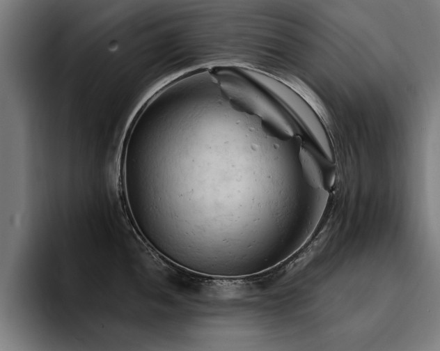 X0000094451052200711081301