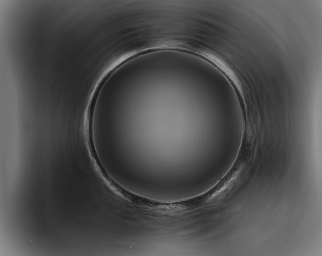 X0000094451053200711081301