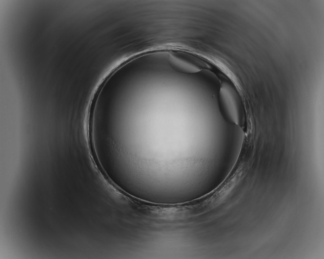 X0000094451054200711081301