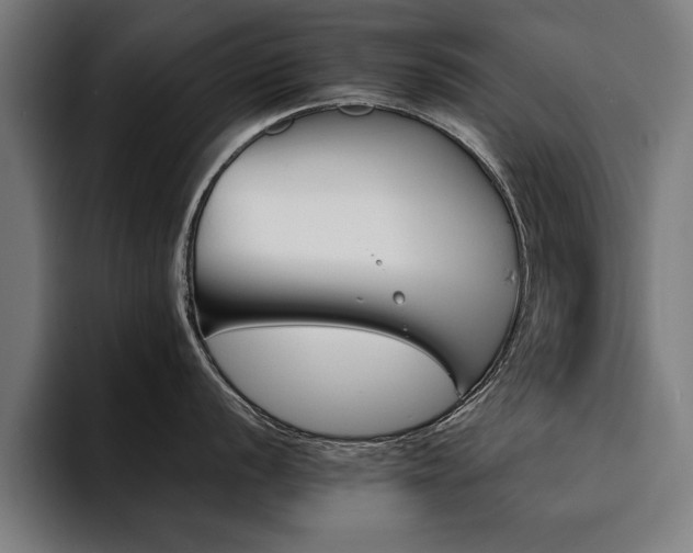 X0000094451056200711081301