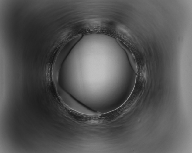 X0000094451060200711081300