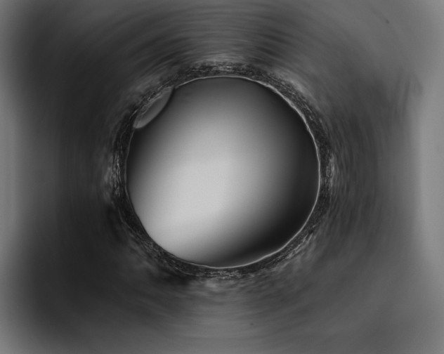X0000094451062200711081300