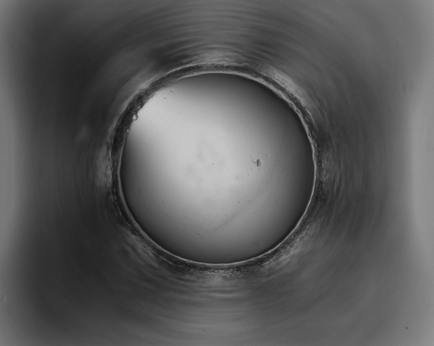 X0000094451067200711081300