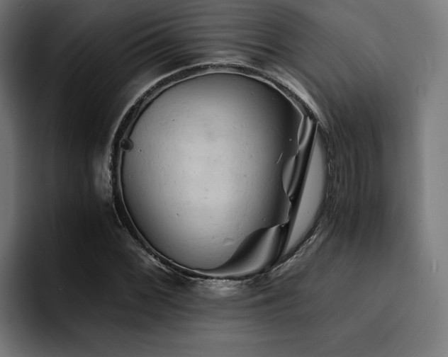 X0000094451068200711081300