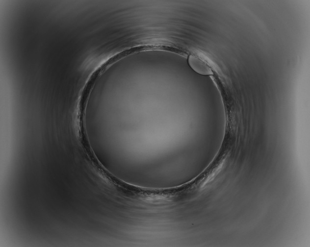 X0000094451071200711081300