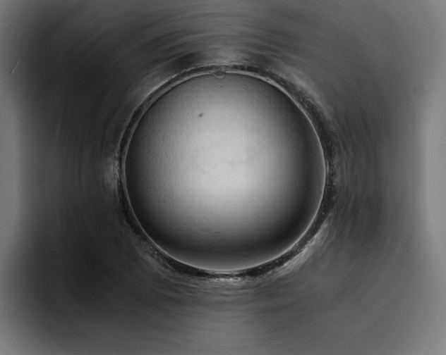 X0000094451073200711081300