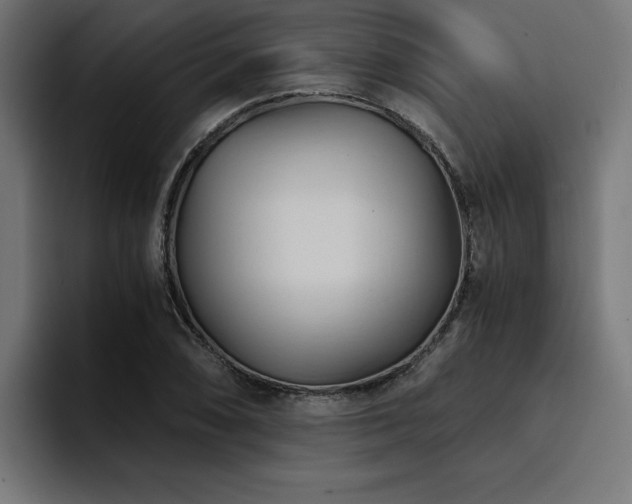 X0000094451074200711081300
