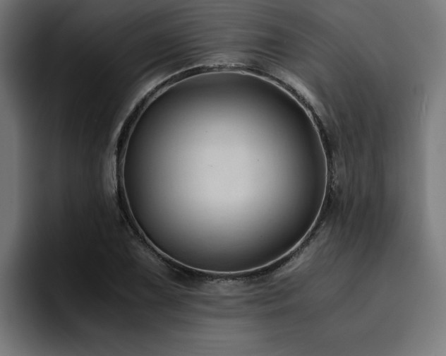 X0000094451075200711081300