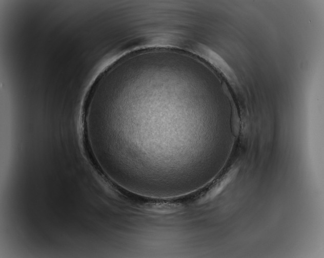 X0000094451077200711081300